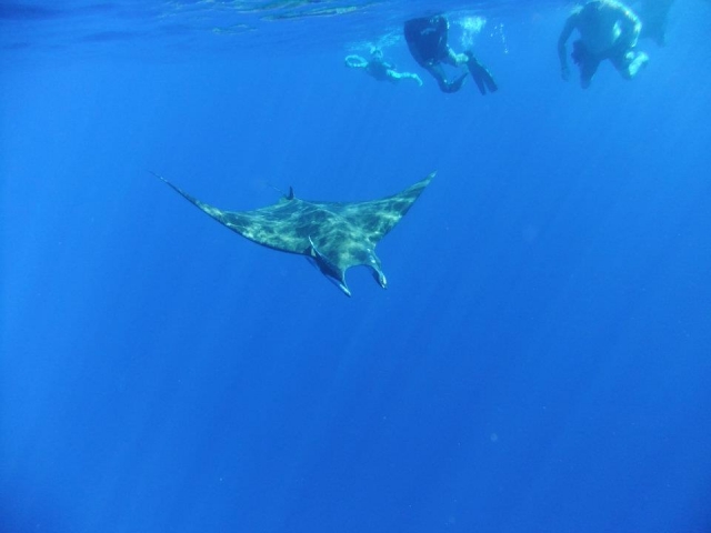 Encuentro con manta